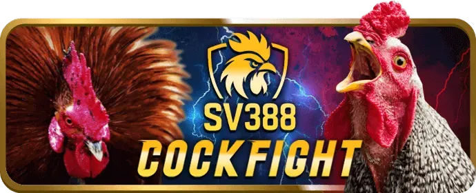 Slot 3D